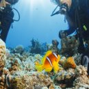 스쿠버월드 이미지