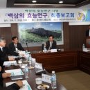 금산인삼사업 이미지