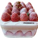 Strawberry32 이미지