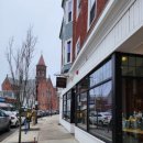 베벌리 도그 이미지