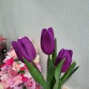 늘다봄의원 이미지