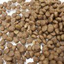 인섹트 파워 이미지