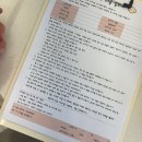 모모애견미용실 | 대전 도안동 애견미용 여름 포메 곰돌이컷 가위 손질 후기｜모모랑