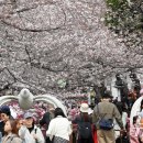 진해구 ⓒ-27 이미지