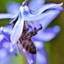 다미내과의원 이미지