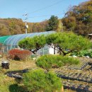 단풍펜션 이미지