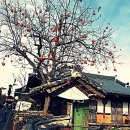 완산-7 이미지