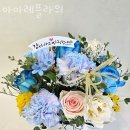 아마레 이미지