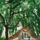 달트빌라코티지 이미지