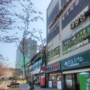 엠브로돈까스 울산동구점 솔직후기! 남심저격 돈까스+제육 조합🔥