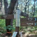 20260711 울산 울주 평산마을~여천각시굴~취서산~함박등~백운암 이미지