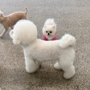 몽니드 이미지