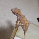 지호농장 이미지