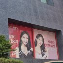 글로비다 | 팔뚝 지방흡입 후 바이오본드 관리) 100% 솔직후기 : 글로비성형외과안티에이징센터