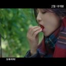 몽땅 포레스트 이미지