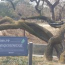 아남아파트(1단지) 이미지