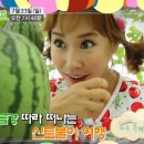 김정기 농장 이미지