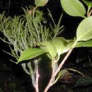 지리산황금농장 이미지