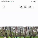 솔밭어린이집 Daum카페