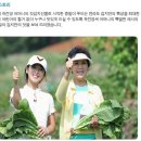 종말이푸드 | 종말이푸드]갓김치, 갓물김치-종말이푸드의 갓김치/갓물김치 도착