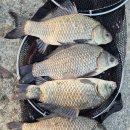 대물낚시터 이미지