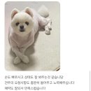 복탄산수 이미지