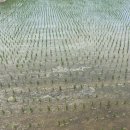 햇살온담 이미지