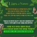 패턴의 원리 이해 및 제도 이미지