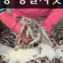 싱싱젓갈수산 이미지