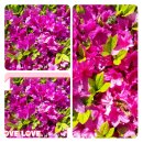 대구광역시시지노인전문병원 이미지