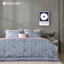 리치랜드 이미지