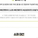 펫스타일 이미지