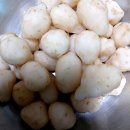 당뇨 혈관건강에 으뜸! 산기슭에 자생하는 싱싱한 돼지감자 (자연산 뚱딴지감자) 이미지