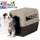 럭키켄넬 이미지