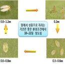 주간농사정보 2010. 12.05 ~ 12.11 이미지