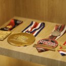 시그널 크로스핏 이미지