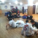 파라에스트라 이미지