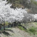 노작공원(오산천변) 이미지