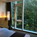 낙산7호넷비치 | 강원도 양양 낙산비치호텔 비전망 숲 뷰 339호 번호표 1번 후기