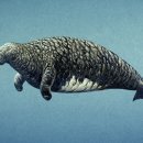 PINK GAME PC 이미지