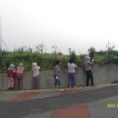 양유리마을회관 이미지