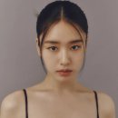 다림상사