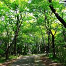 한라산둘레길안내센터 이미지