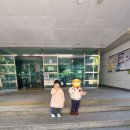 강서구민회관 주차장 | 강서구민회관 누가 내 머리에 똥쌌어? 내돈내산 공연 관람 후기 2025년 11월, 12월 가족 뮤지컬 공연...