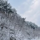 [횡성 캠핑장] 수동길170캠핑장 후기-1 (시설 편)