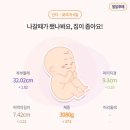 아미스카페 | #17 임신일기-임신35주차~39주차 일상