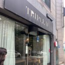 대전 트리플디 부드러운 크림맛 큐브케이크맛집