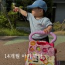 14개월 아기 발달 언어 특징 지니어스뉴 먹기 시작