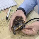 뉴월드 동물병원 이미지