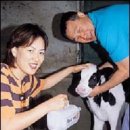 삼삼오오목장 이미지